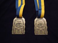Vizeweltmeister-Medaillen